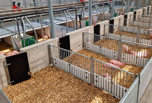 Stallbau-Baustelle